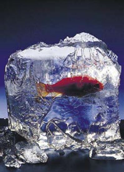 Obrázek Trikové efekty - ICEBERG Blok ledu