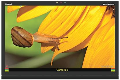 Obrázek V-R241-IMD-HDSDI 24' Native HD Res. LCD Monitor  HDSDI/SDI and IMD